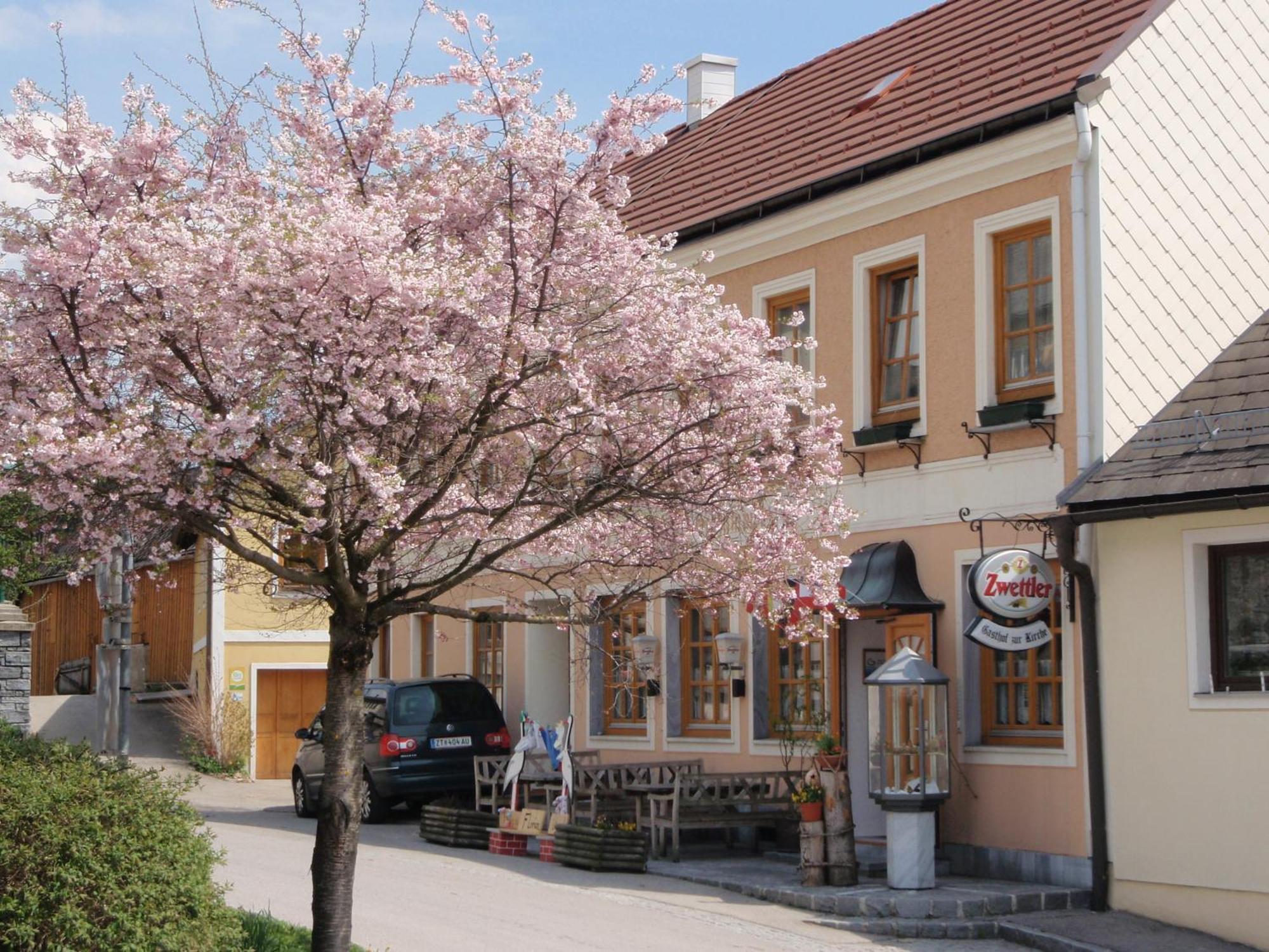 Hotel Gasthof Zur Kirche Kottes Esterno foto
